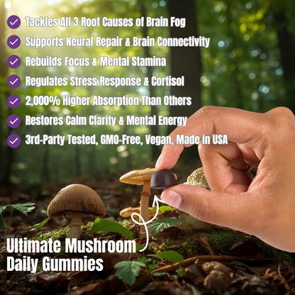 Ultimate Mushroom Daily Gummies
